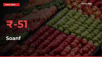 Soanf Prices Drop 50.7% – May 29 Market Update from Mandis