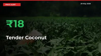 This Mandi Records 17.96% Jump in Tender Coconut Prices
