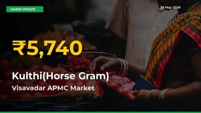 Kulthi(Horse Gram) Prices Soar to Record High in Visavadar APMC – Farmers Alert Today