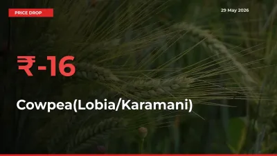 Cowpea(Lobia/Karamani) Mandi Rate Today: Prices Fall 15.83% at Market