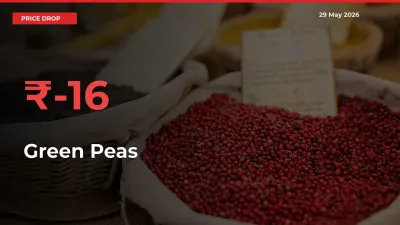 Sudden Shock! Green Peas Drops 16.21% in 24 Hours at Top Mandis