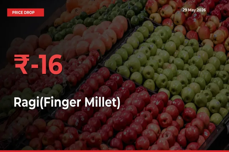 Farmers Alert as Ragi(Finger Millet) Prices Slide 16.28% in Local Mandis