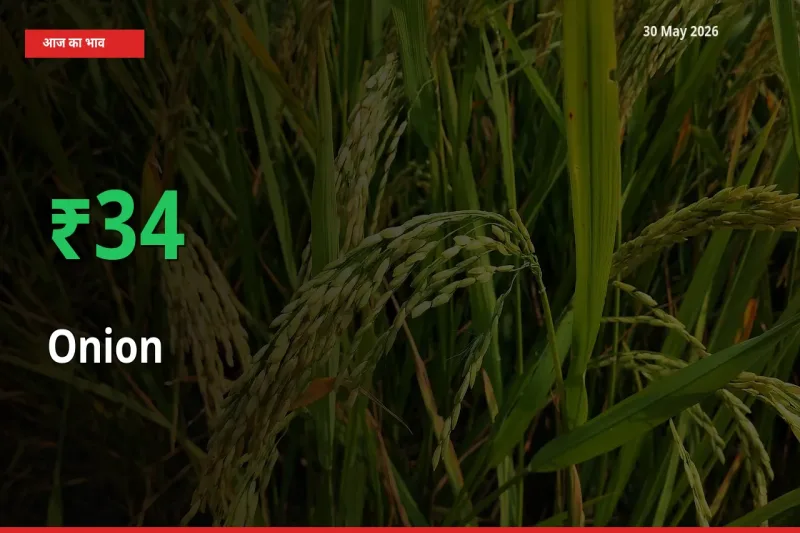 तेज़ तेजी! मंडी में प्याज के दाम 34% चढ़े