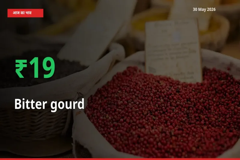 स्थानीय मंडी में करेला के दाम अचानक 18.59% उछले, किसान सतर्क
