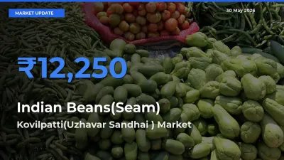 Kovilpatti(Uzhavar Sandhai ) Leads as Top Mandi for Indian Beans(Seam) Prices