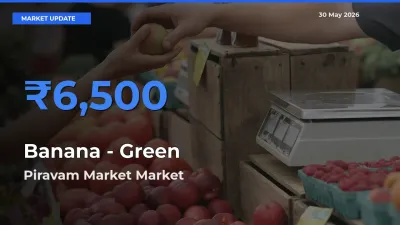 Banana - Green Mandi Rate Today: Piravam Market Tops the List