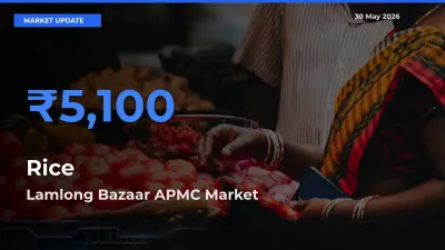Lamlong Bazaar APMC Records Highest ₹5,100 Rate for Rice