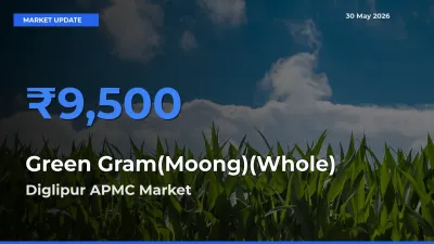 Farmers Prefer Diglipur APMC as Green Gram(Moong)(Whole) Hits Highest Rate