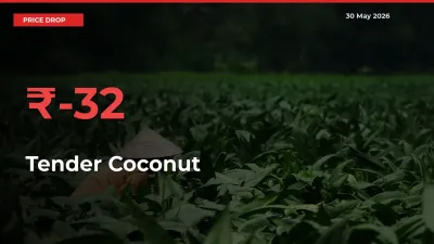 Farmers Alert as Tender Coconut Prices Slide 31.96% in Local Mandis