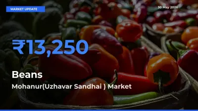 Mohanur(Uzhavar Sandhai ) Leads as Top Mandi for Beans Prices