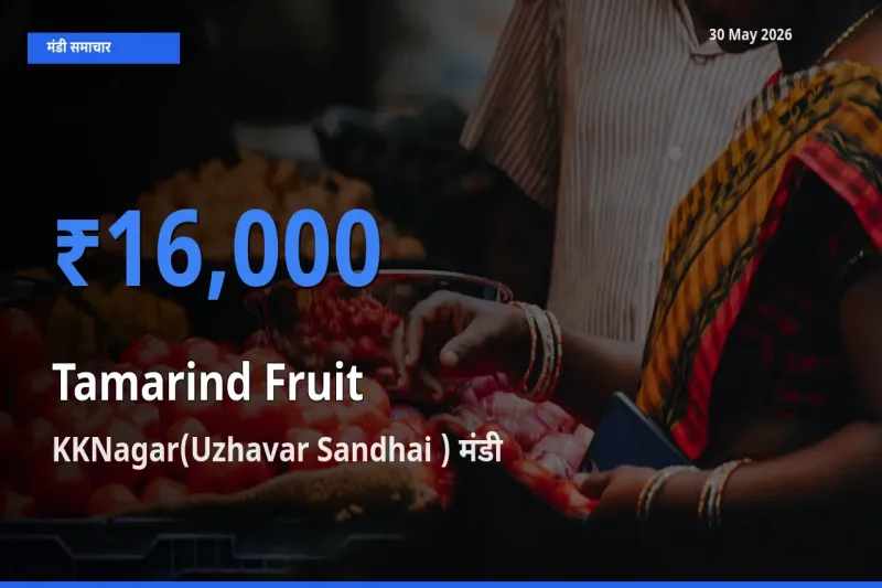 आज का मंडी भाव: इमली का फल के सबसे ज़्यादा दाम KKNagar(Uzhavar Sandhai ) में