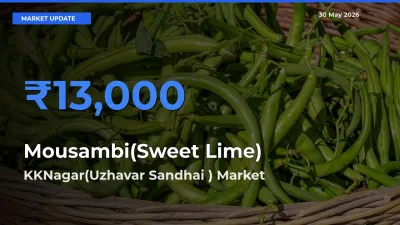 Market Watch: KKNagar(Uzhavar Sandhai ) Becomes Top Mandi for Mousambi(Sweet Lime)