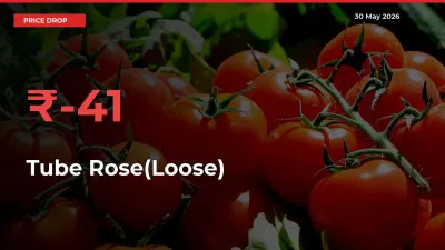 Farmers Alert as Tube Rose(Loose) Prices Slide 40.87% in Local Mandis