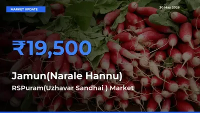 RSPuram(Uzhavar Sandhai ) Emerges as Top Mandi for Jamun(Narale Hannu) Prices Today