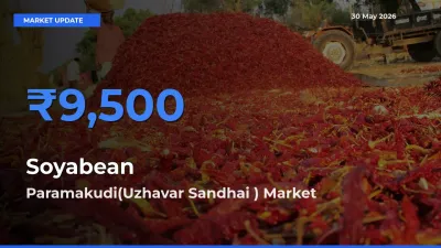 Paramakudi(Uzhavar Sandhai ) Records Highest ₹9,500 Rate for Soyabean