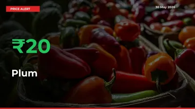 Plum Mandi Rate Today: Prices Jump 19.76% at Market