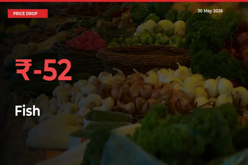 Farmers Alert as Fish Prices Slide 51.78% in Local Mandis
