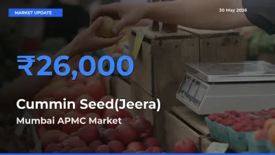 Cummin Seed(Jeera) Mandi Rate Today: Mumbai APMC Tops the List