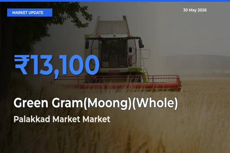 Palakkad Market Leads as Top Mandi for Green Gram(Moong)(Whole) Prices