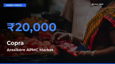 Arasikere APMC Offers ₹20,000 – Highest Copra Rate Today