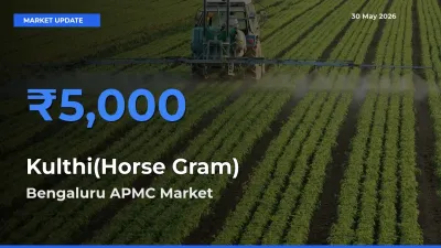 Bengaluru APMC Records Highest ₹5,000 Rate for Kulthi(Horse Gram)