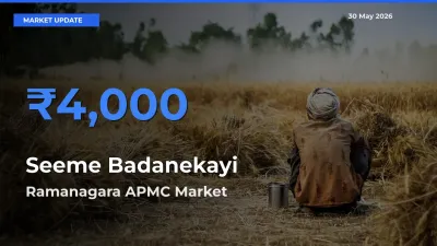Ramanagara APMC Tops Seeme Badanekayi Mandi Rates Today