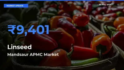 Mandsaur APMC Tops Linseed Rates – May 30 Market Update