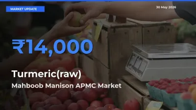 Farmers Prefer Mahboob Manison APMC as Turmeric(raw) Hits Highest Rate