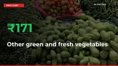 Big Rally! Other green and fresh vegetables Climbs 170.59% in 24 Hours at Top Mandis