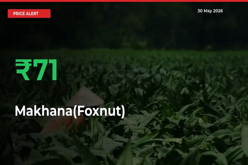 Why Makhana(Foxnut) Prices Rose 70.98% in a Day at Mandis