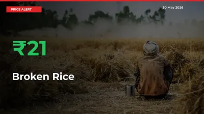 Farmers Cheer as Broken Rice Prices Surge 20.75% in Local Mandis