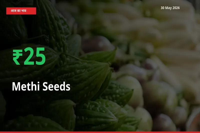 मेथी दाना 25.27% उछला, मंडी