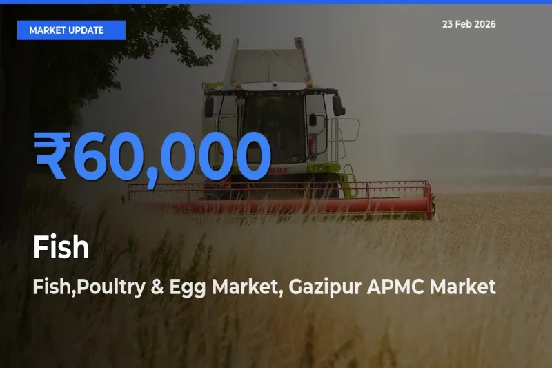 Farmers Prefer Fish,Poultry & Egg Market, Gazipur APMC as Fish Hits Highest Rate