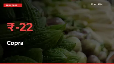 Copra Prices Drop 21.98% – May 30 Market Update from Mandis