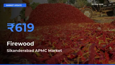 Firewood Mandi Rate Today: Sikanderabad APMC Tops the List