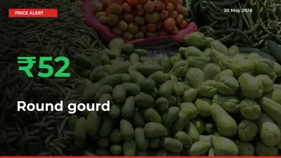 52.4% Spike in Round gourd Prices – Mandi Sees Sudden Rally