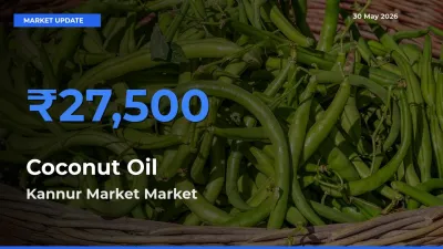 Coconut Oil Mandi Rate Today: Kannur Market Tops the List
