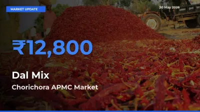 Chorichora APMC Leads as Top Mandi for Dal Mix Prices