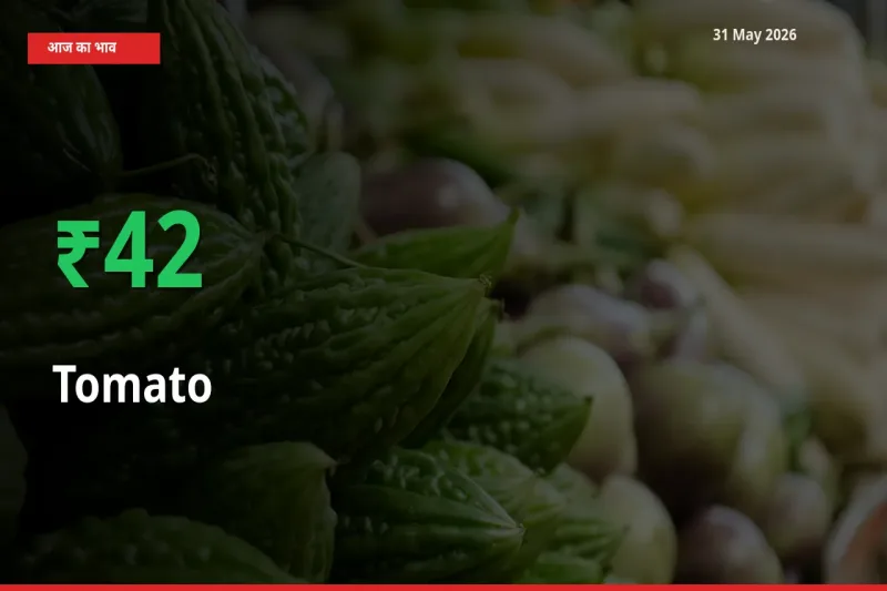 टमाटर 41.82% उछला, मंडी