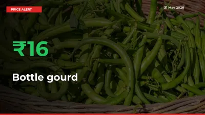 Farmers Cheer as Bottle gourd Prices Surge 16.48% in Local Mandis