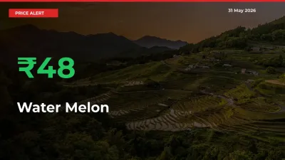 Water Melon Prices Rise 48.32% in a Day at Major Mandis