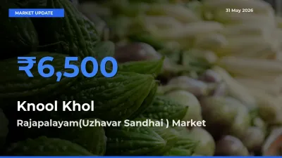 Rajapalayam(Uzhavar Sandhai ) Tops Knool Khol Rates – May 31 Market Update