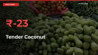 Tender Coconut Prices Drop 23.39% – May 31 Market Update from Mandis