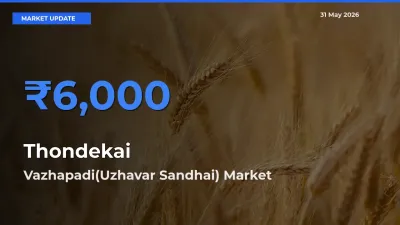 Vazhapadi(Uzhavar Sandhai) Tops Thondekai Mandi Rates Today