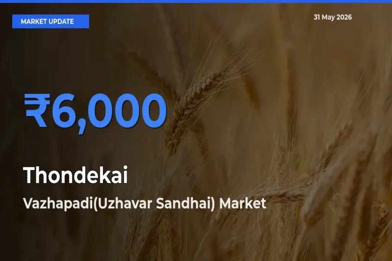 Vazhapadi(Uzhavar Sandhai) Tops Thondekai Mandi Rates Today