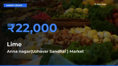 Anna nagar(Uzhavar Sandhai ) Emerges as Top Mandi for Lime Prices Today
