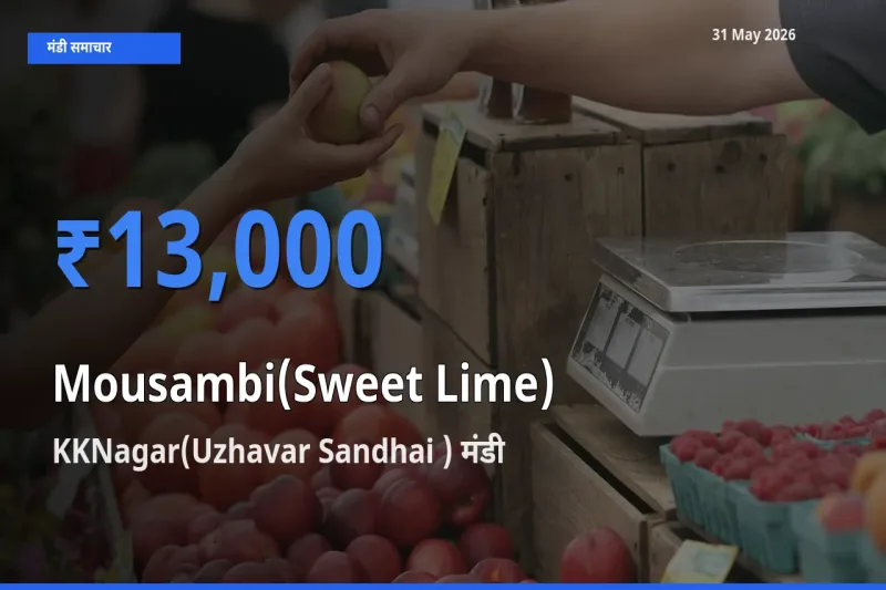 आज मौसंबी के सबसे ऊँचे दाम ₹13,000 KKNagar(Uzhavar Sandhai ) मंडी में