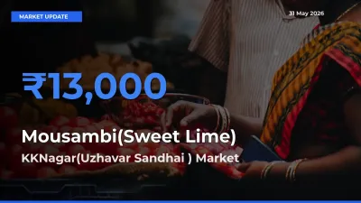 KKNagar(Uzhavar Sandhai ) Emerges as Top Mandi for Mousambi(Sweet Lime) Prices Today