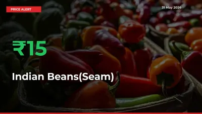 Indian Beans(Seam) Prices Rise 15.38% in a Day at Major Mandis