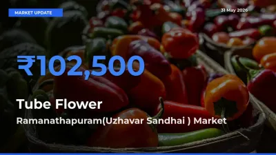 Ramanathapuram(Uzhavar Sandhai ) Leads as Top Mandi for Tube Flower Prices